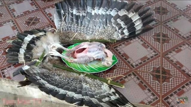 dien-bien-moi-vu-anh-em-tam-mao-tv-bi-nghi-lam-thit-chim-quy-trong-sach-do-roi-quay-clip-kiem-tien-tren-youtube