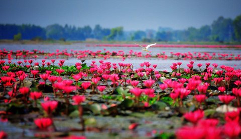 vùng đất cuốn hút từ vẻ đẹp bình dị giữa đời thường