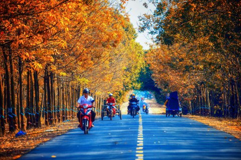 vùng đất cuốn hút từ vẻ đẹp bình dị giữa đời thường