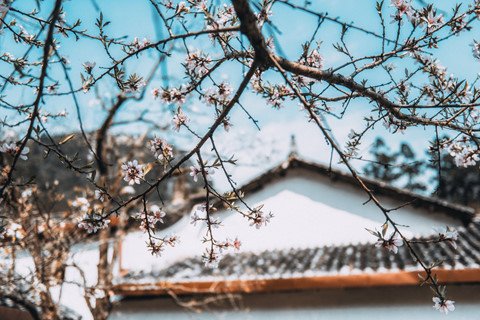 nét thơ hùng vĩ của miền đất 'hoa nở trên đá'