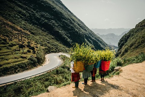 nét thơ hùng vĩ của miền đất 'hoa nở trên đá'