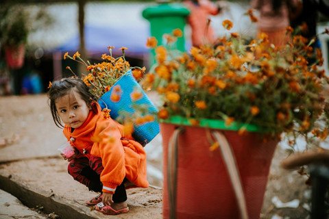 nét thơ hùng vĩ của miền đất 'hoa nở trên đá'