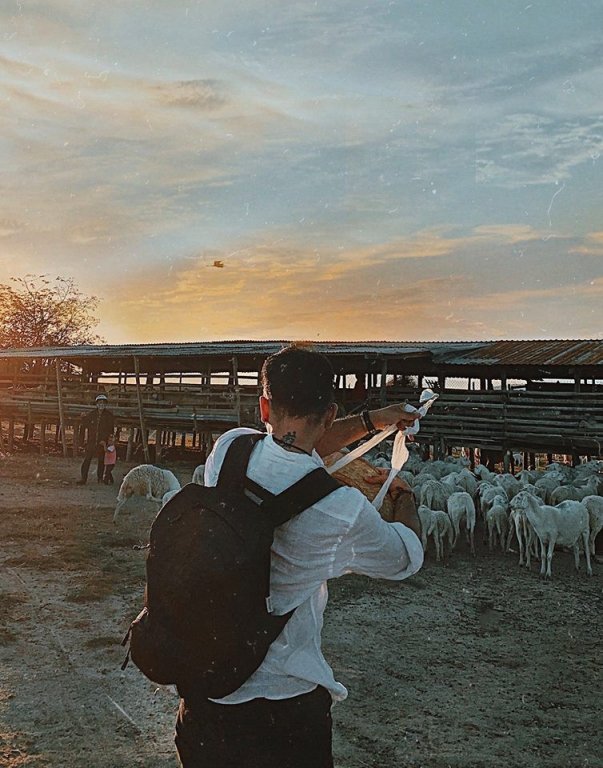 11 địa điểm vừa đẹp, vừa hay mà đã đến Ninh Thuận nhất định không thể bỏ lỡ!