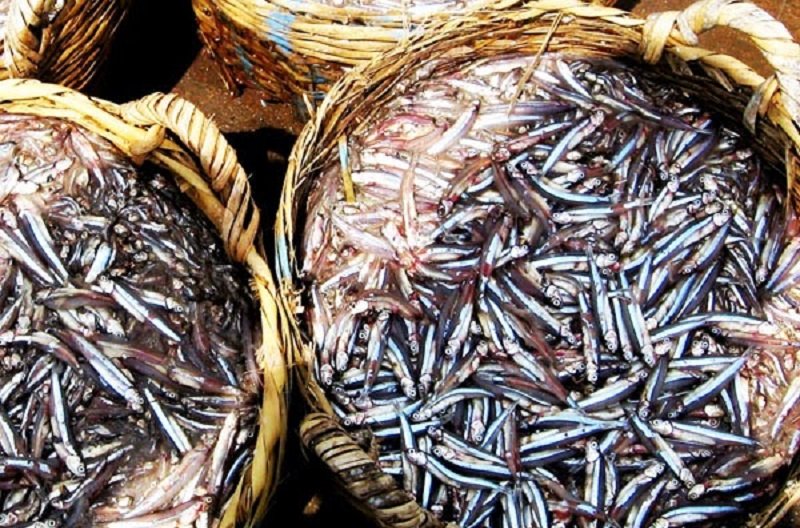 cong-thuc-lam-nuoc-mam-thom-ngon-khong-hoa-chat-tai-nha