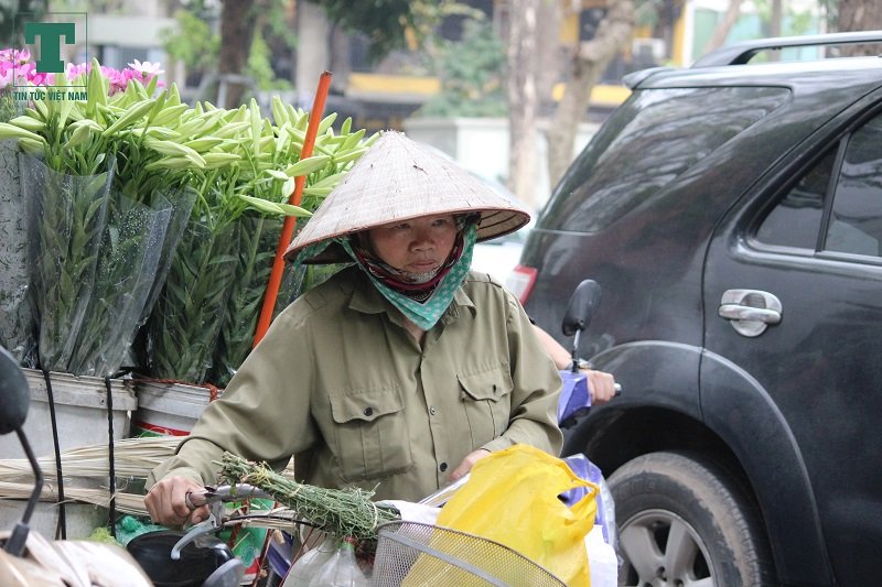 cuoi-thang-ba-hoa-loa-ken-tinh-khoi-tran-xuong-pho-ha-noi