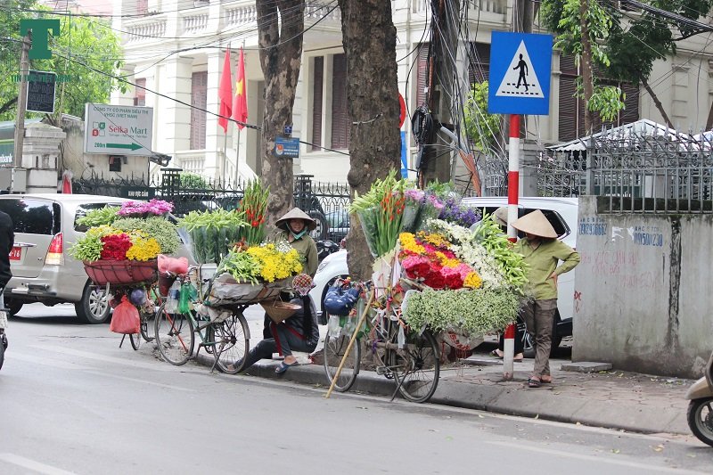cuoi-thang-ba-hoa-loa-ken-tinh-khoi-tran-xuong-pho-ha-noi