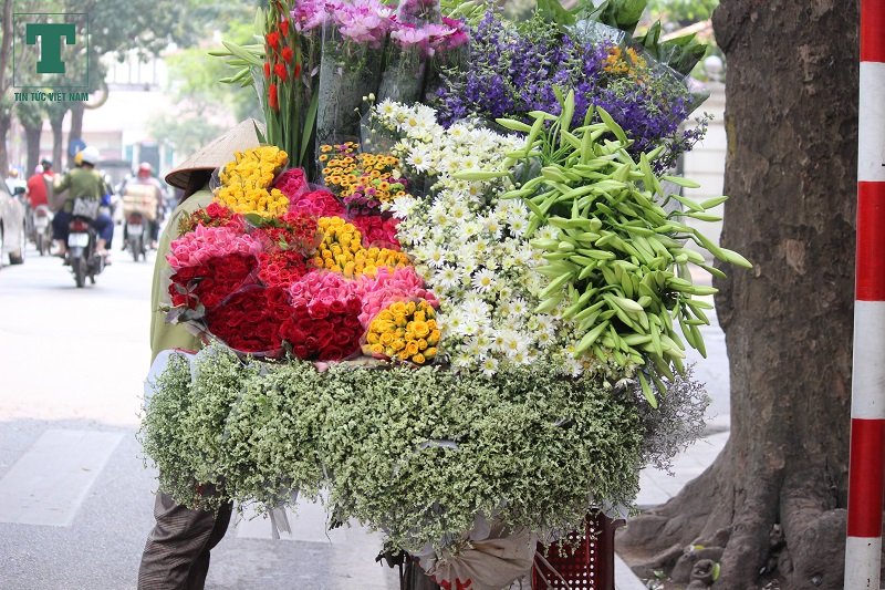 cuoi-thang-ba-hoa-loa-ken-tinh-khoi-tran-xuong-pho-ha-noi