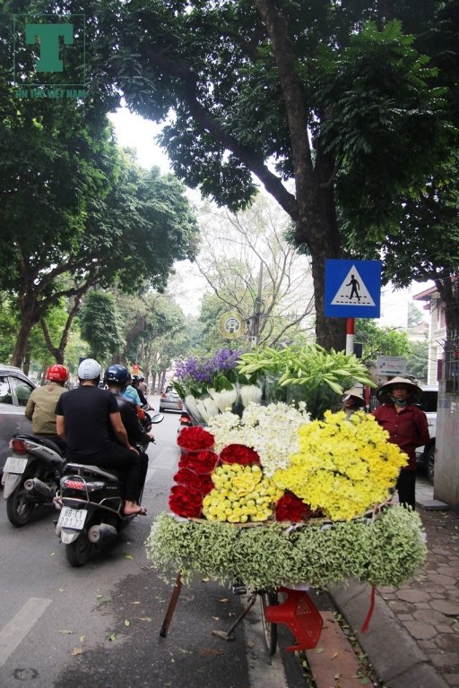 cuoi-thang-ba-hoa-loa-ken-tinh-khoi-tran-xuong-pho-ha-noi