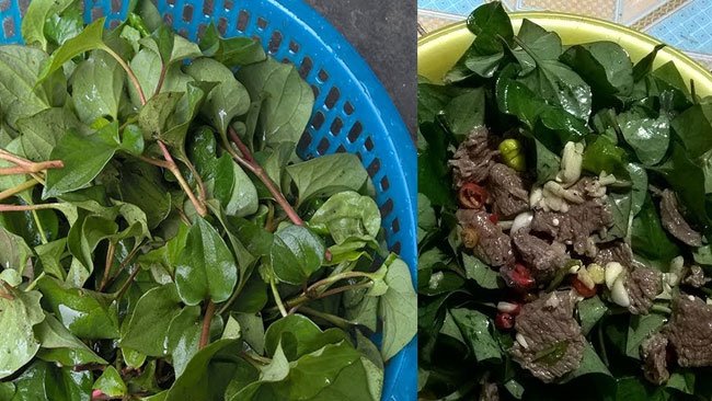 Rau diếp cá có tác dụng gì và ai cần kiêng rau diếp cá