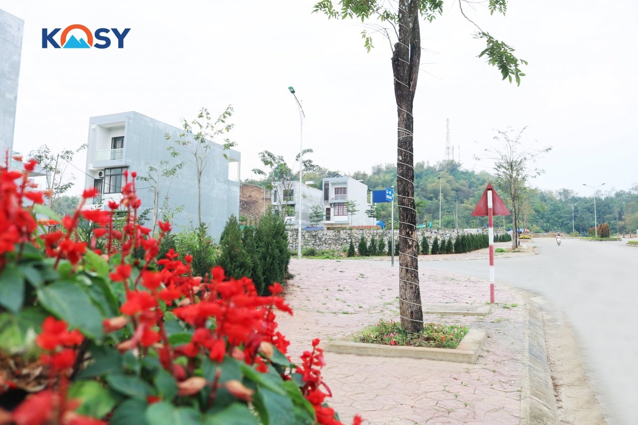 suc-hut-cua-thi-truong-bat-dong-san-lao-cai-den-tu-dau