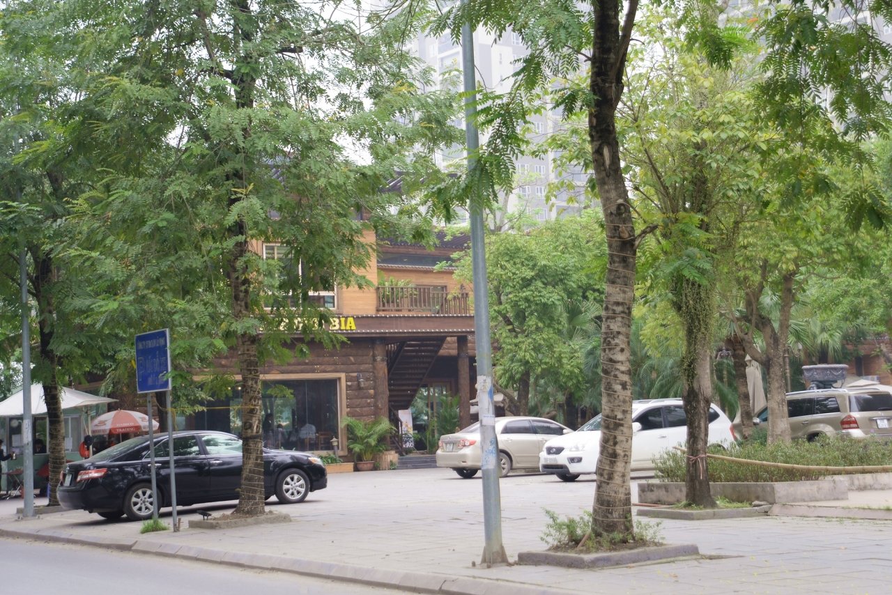 ha-noi-se-xu-ly-ra-sao-khi-dat-cay-xanh-bai-do-xe-bi-tap-doan-la-vong-bien-thanh-quan-bia