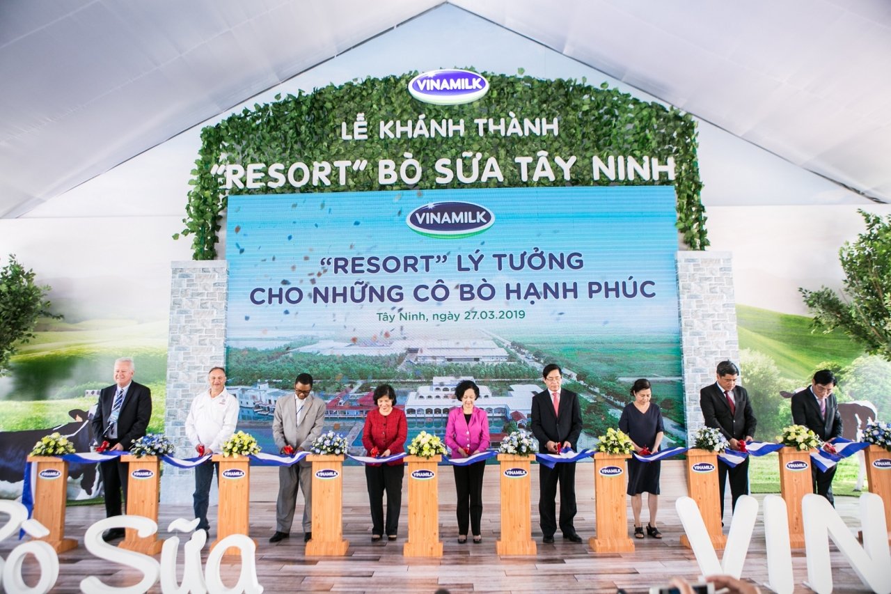 resort-bo-sua-vinamilk-tay-ninh-ngoi-nha-ly-tuong-cho-nhung-co-bo-hanh-phuc-cua-vinamilk