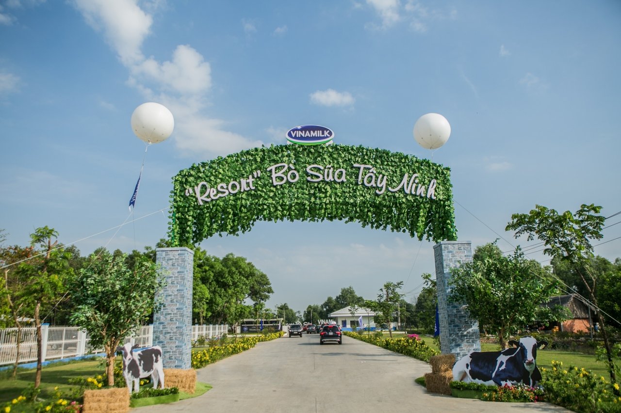 resort-bo-sua-vinamilk-tay-ninh-ngoi-nha-ly-tuong-cho-nhung-co-bo-hanh-phuc-cua-vinamilk