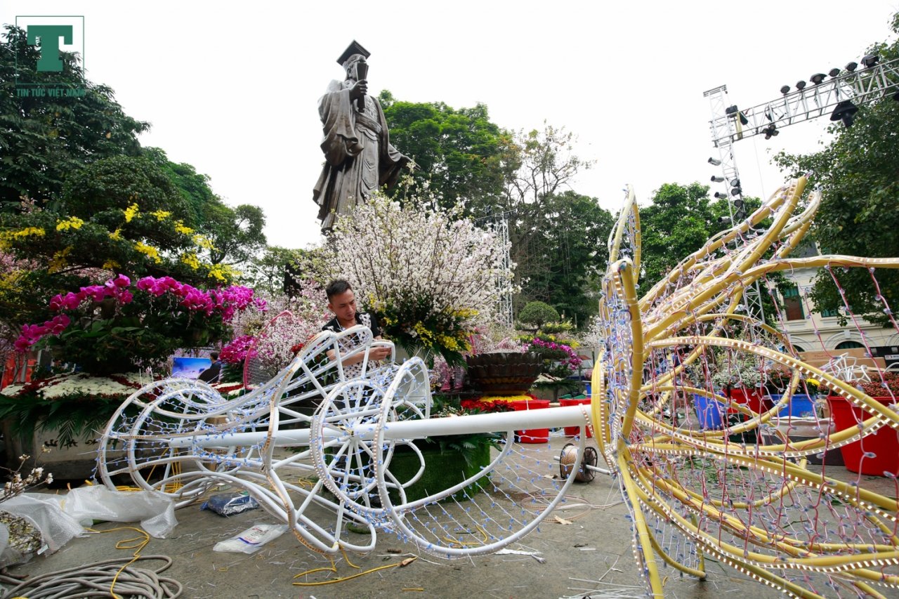 hang-ngan-canh-hoa-anh-dao-bat-ngo-khoe-sac-ruc-ro-ben-ho-hoan-kiem