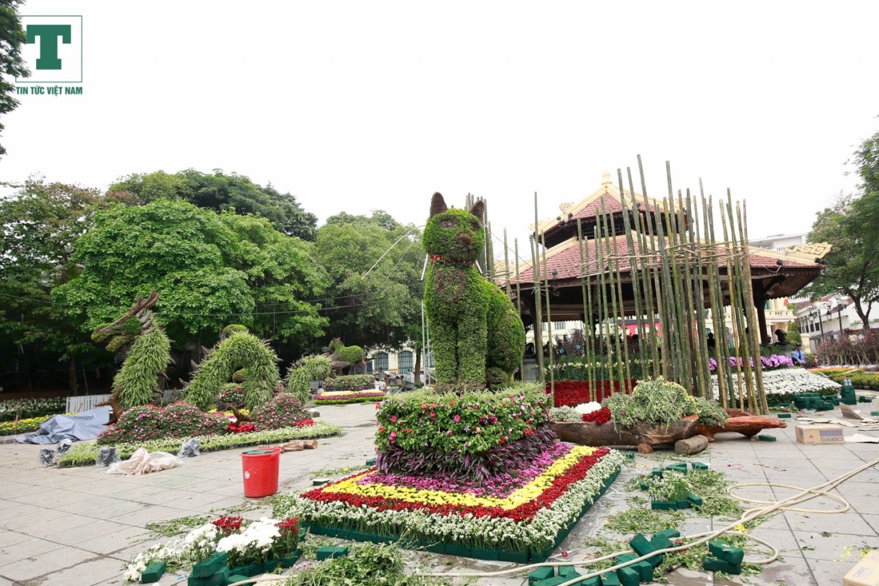hang-ngan-canh-hoa-anh-dao-bat-ngo-khoe-sac-ruc-ro-ben-ho-hoan-kiem