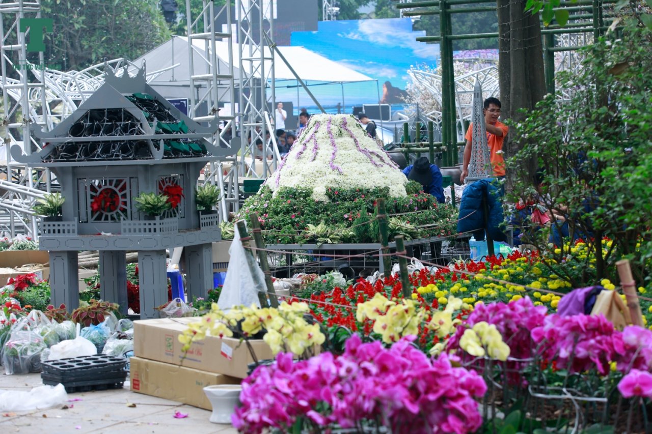hang-ngan-canh-hoa-anh-dao-bat-ngo-khoe-sac-ruc-ro-ben-ho-hoan-kiem