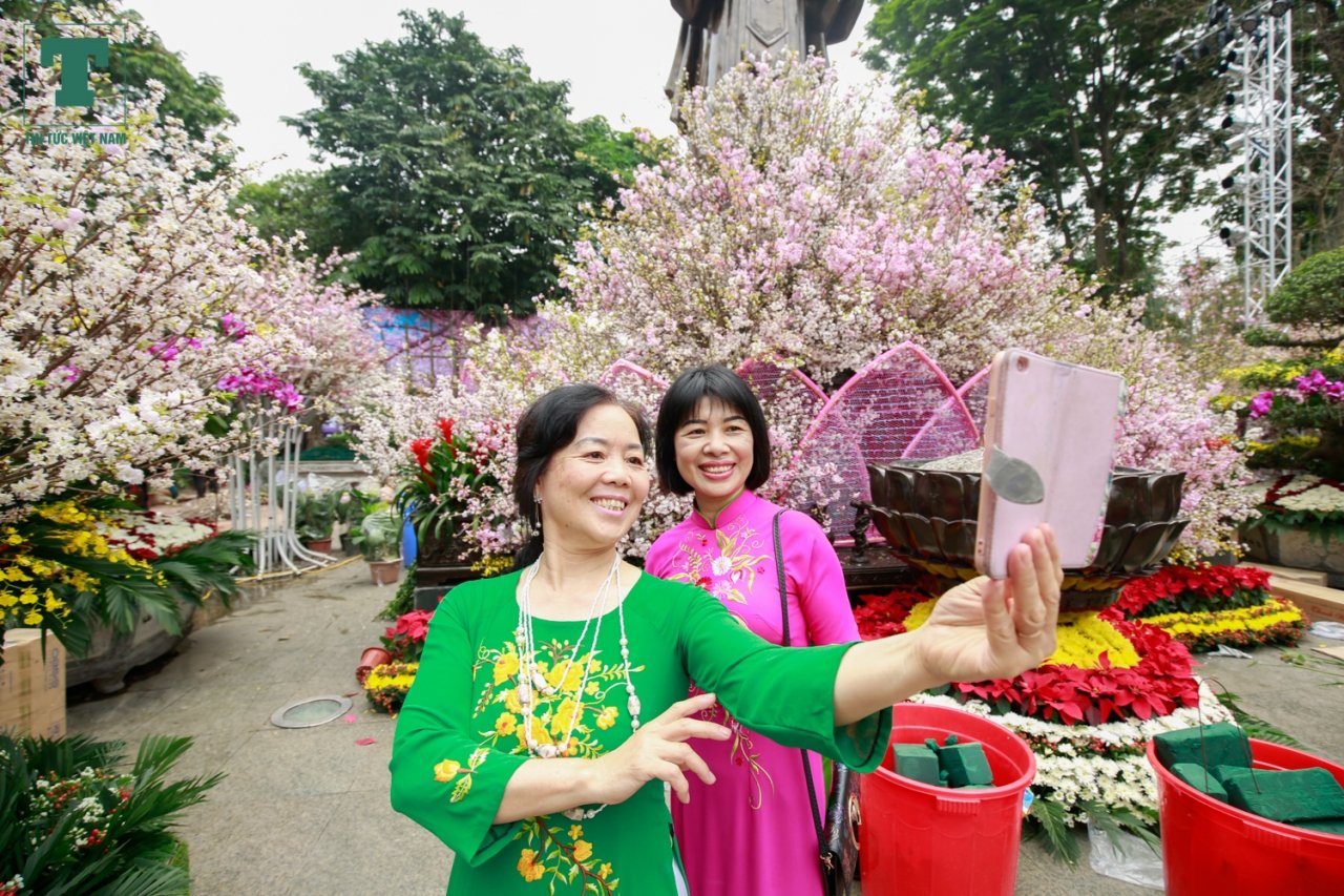 hang-ngan-canh-hoa-anh-dao-bat-ngo-khoe-sac-ruc-ro-ben-ho-hoan-kiem