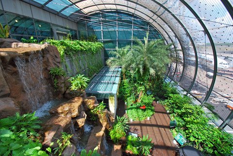 Sân bay 7 năm liên tiếp tốt nhất thế giới ở Singapore
