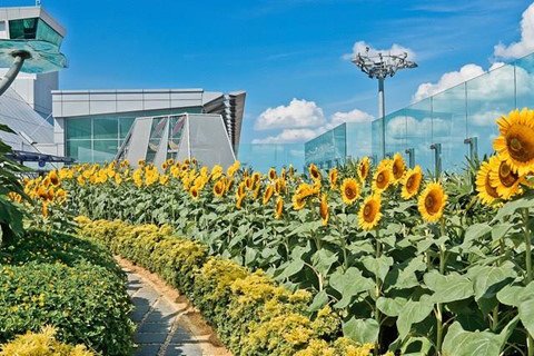 Sân bay 7 năm liên tiếp tốt nhất thế giới ở Singapore