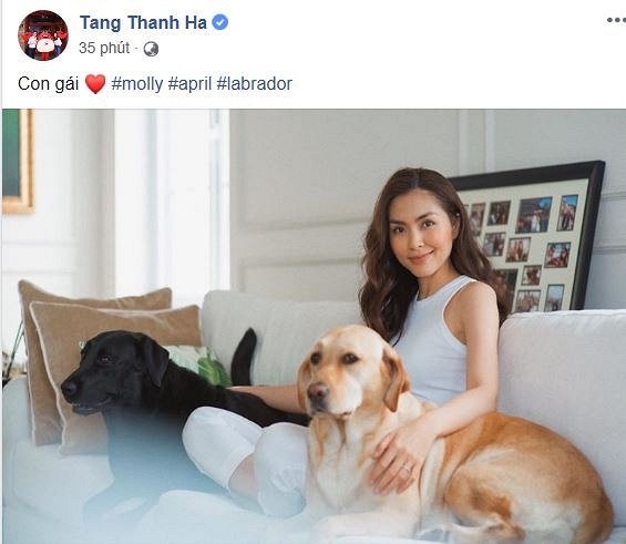 sao-viet-hom-nay-thuy-nga-bi-tai-nan-phai-khau-10-mui