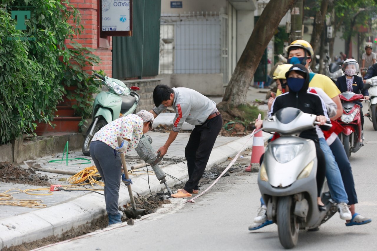 con-pho-dau-tien-lat-da-tu-nhien-noi-khong-voi-nan-dao-boi