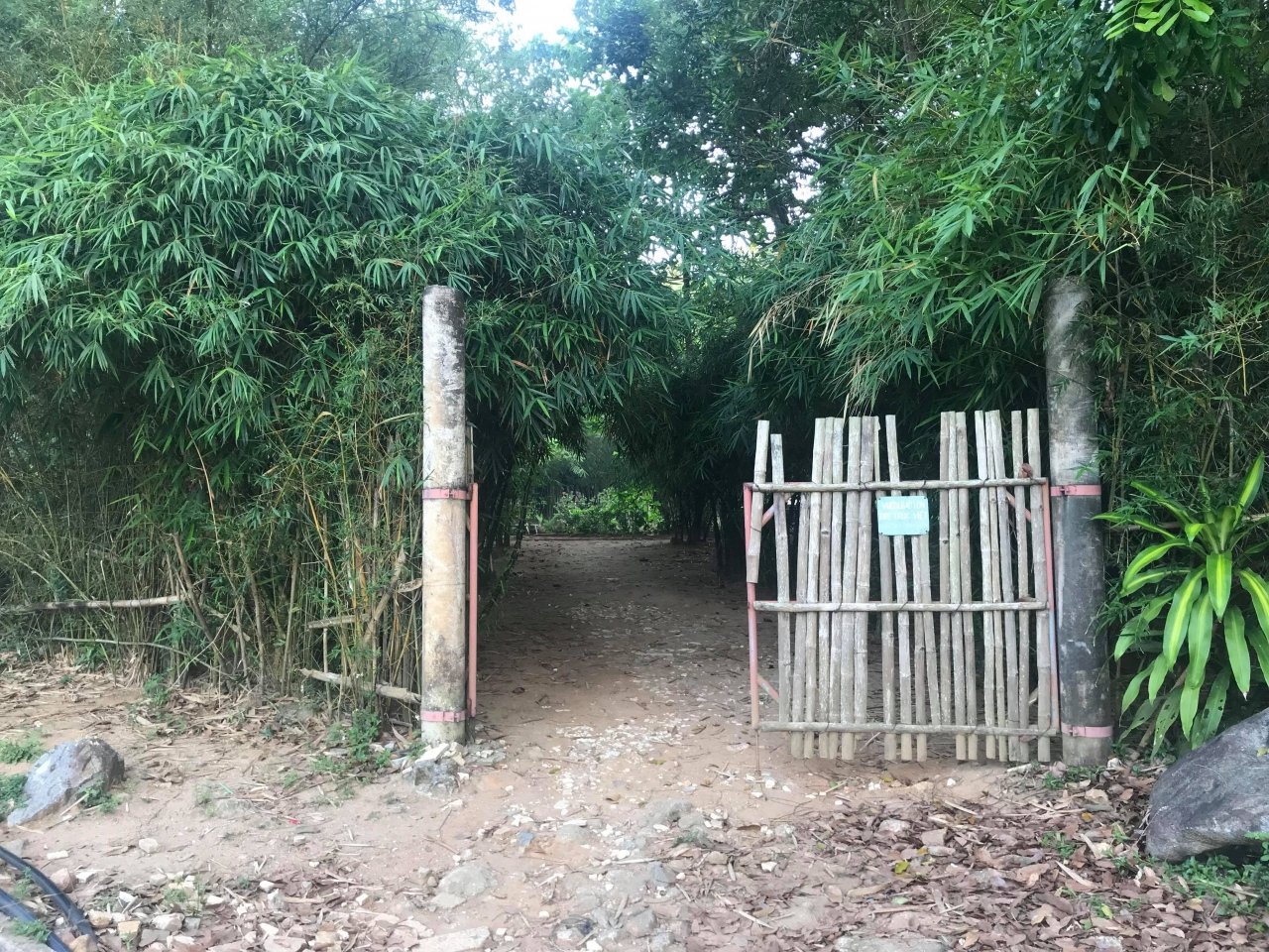lang-le-thien-o-chon-son-tra-tinh-vien