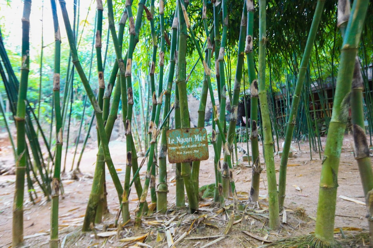 lang-le-thien-o-chon-son-tra-tinh-vien