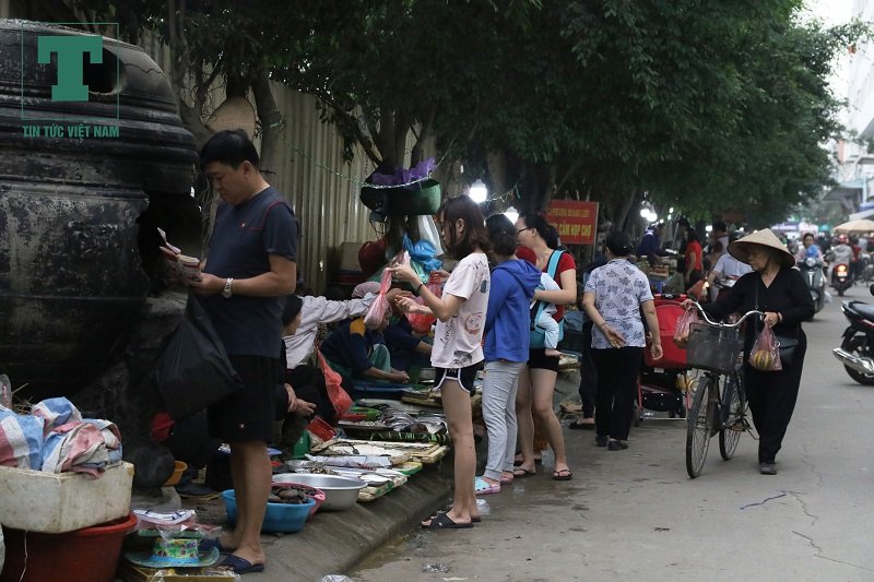 can-canh-nhung-sai-pham-tai-kdt-kieu-mau-linh-dam