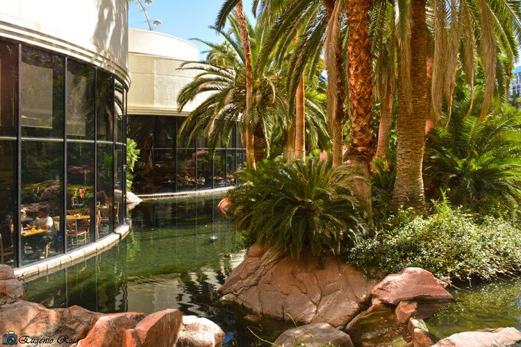Rùng rợn khách sạn Flamingo bị hồn ma trùm mafia ám ở Las Vegas