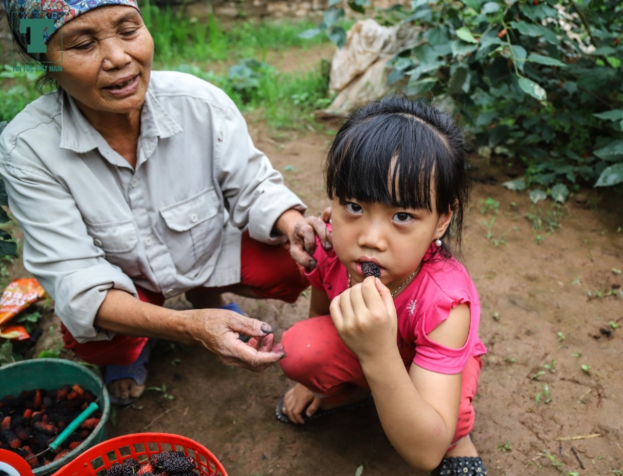 vung-ven-ha-noi-nong-dan-trong-dau-dai-kiem-chuc-trieu-moi-thang