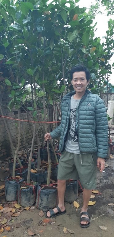 ban-1-qua-mit-bo-tui-tien-trieu-mien-bac-chay-giong-mit-thai