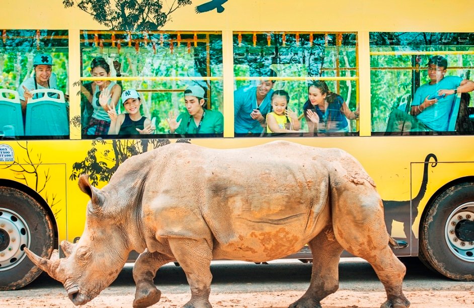 te-giac-con-dau-tien-chao-doi-tai-vinpearl-safari-phu-quoc