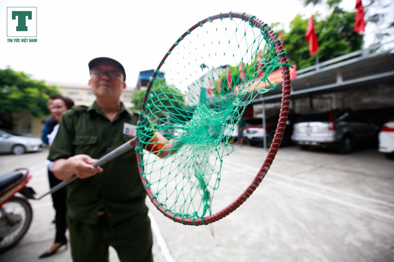 theo-chan-doi-phan-ung-nhanh-bat-cho-tu-rang-sang