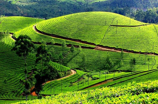 goi-y-5-dia-diem-ly-tuong-choi-dip-nghi-gio-to-hung-vuong