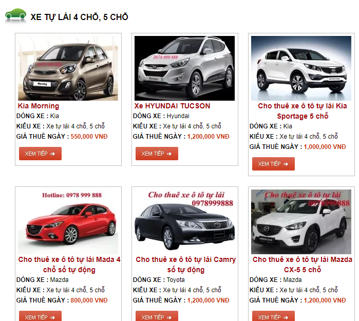 loan-gia-thi-truong-cho-thue-xe-tu-lai-dip-nghi-le