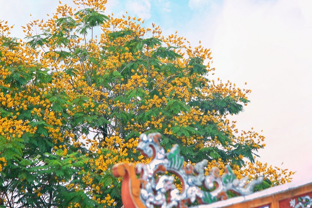 sac-hoa-thang-4