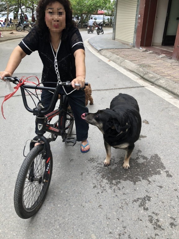 Huấn luyện chó dữ ở… công viên, người đi dạo 'phát khiếp'