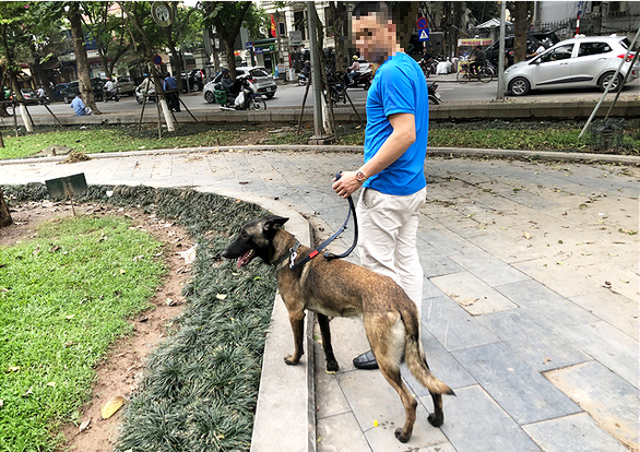 Huấn luyện chó dữ ở… công viên, người đi dạo 'phát khiếp'