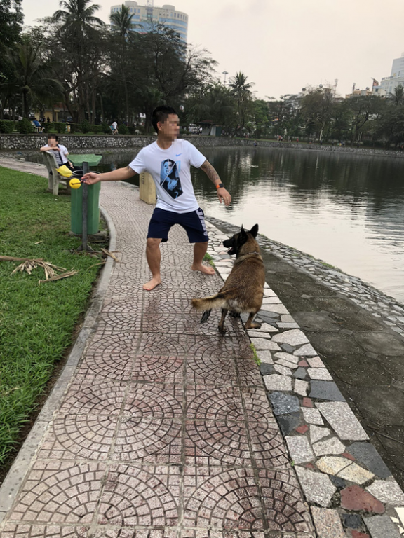 Huấn luyện chó dữ ở… công viên, người đi dạo 'phát khiếp'