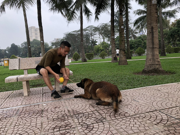 Huấn luyện chó dữ ở… công viên, người đi dạo 'phát khiếp'