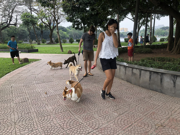Huấn luyện chó dữ ở… công viên, người đi dạo 'phát khiếp'