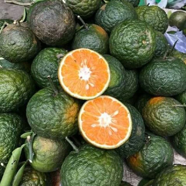 tieu-dung-tuan-qua-gia-vang-tom-va-trai-cay-dong-loat-giam-manh