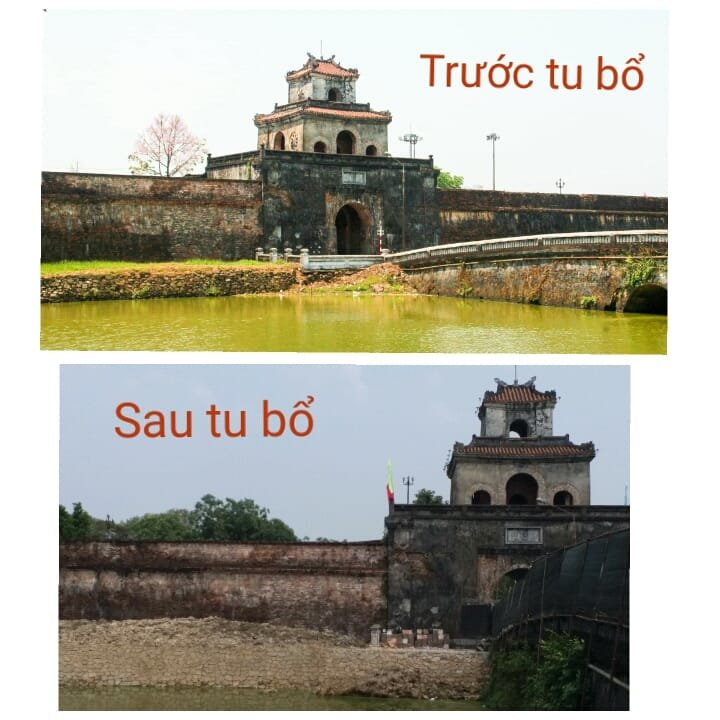 can-canh-ke-ho-thanh-hao-sau-tu-bo-trong-nhu-moi