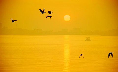 Hồ Tây thơ mộng trong lòng Hà Nội