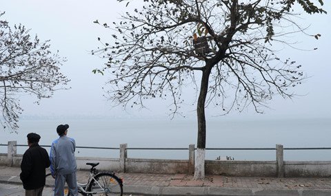 Hồ Tây thơ mộng trong lòng Hà Nội