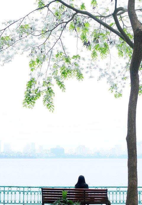Hồ Tây thơ mộng trong lòng Hà Nội