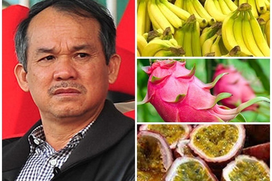 dhdcd-hoang-anh-gia-lai-nhung-diem-nong-co-dong-quan-tam