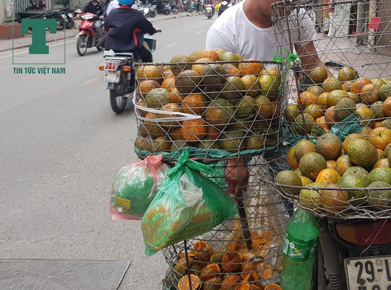 cam Hà Giang
