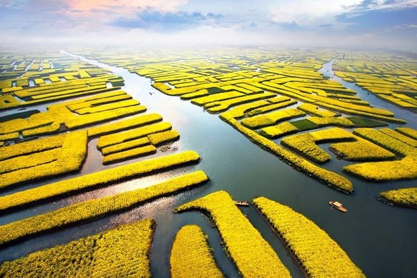 lam-nong-nghiep-thong-minh-gan-14-ty-dan-trung-quoc-khong-chi-du-an-ma-con-an-ngon
