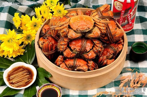 lam-nong-nghiep-thong-minh-gan-14-ty-dan-trung-quoc-khong-chi-du-an-ma-con-an-ngon